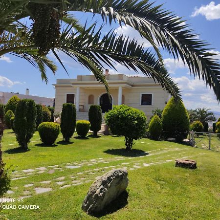 וולוס Luxury Villa Thea מראה חיצוני תמונה