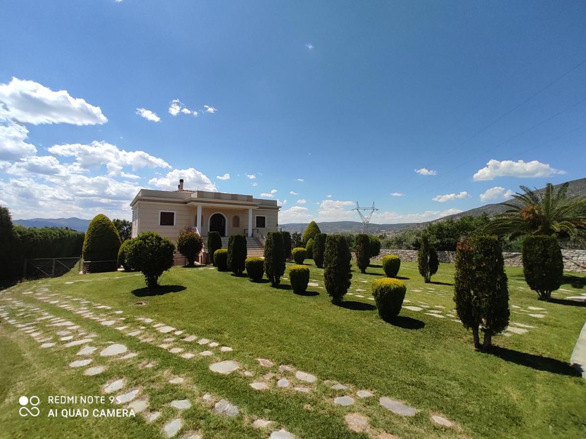 וולוס Luxury Villa Thea מראה חיצוני תמונה